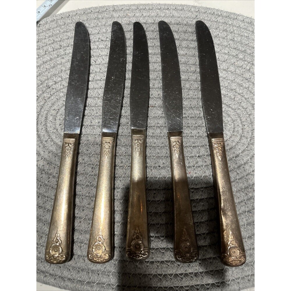 Wm Rogers  5 pc Knife Set Silverplate Vintage Spring Charm Flatware Patina